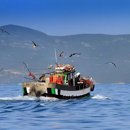 Duplexdubocage Holiday home *