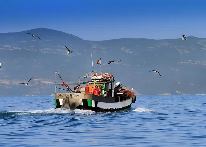 Duplexdubocage Casa de Férias *